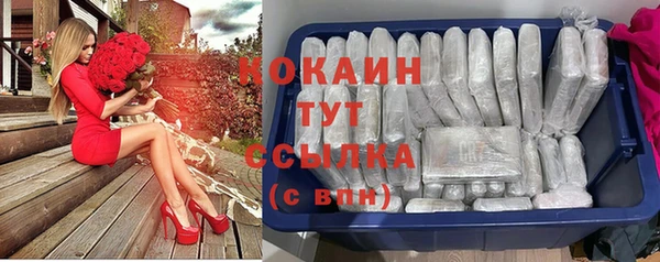 бошки Магас