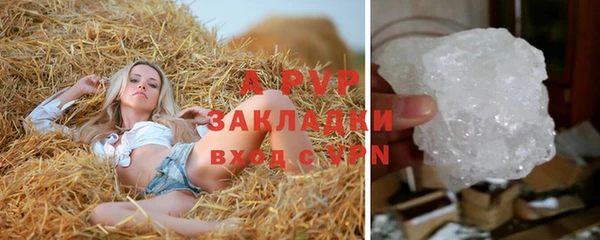 бошки Магас