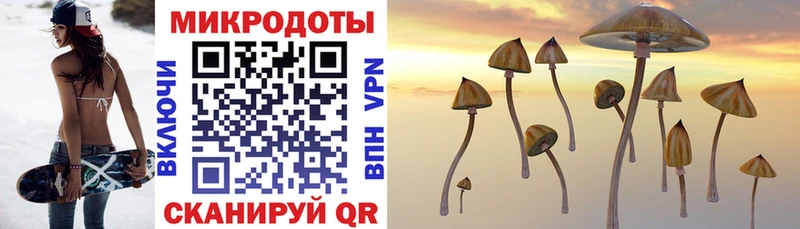 Псилоцибиновые грибы прущие грибы Добрянка