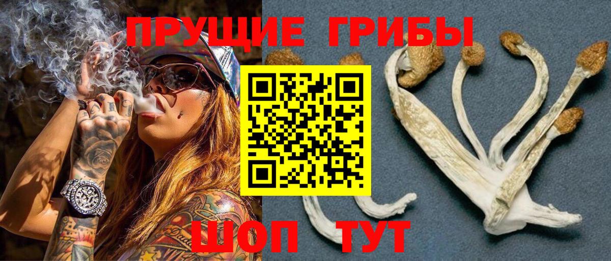 Псилоцибиновые грибы прущие грибы Добрянка