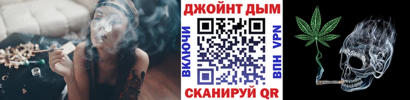 Каннабис сатива Добрянка
